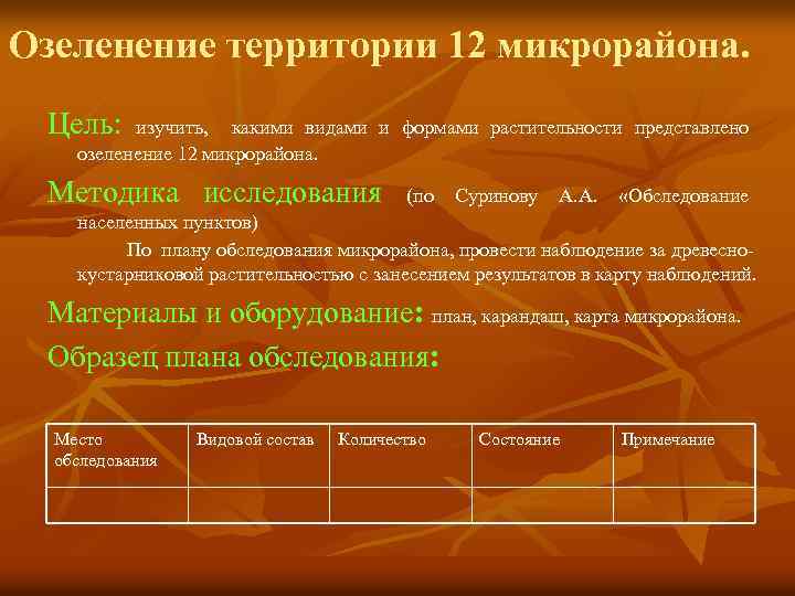 Озеленение территории 12 микрорайона. Цель: изучить, какими видами и формами растительности представлено озеленение 12