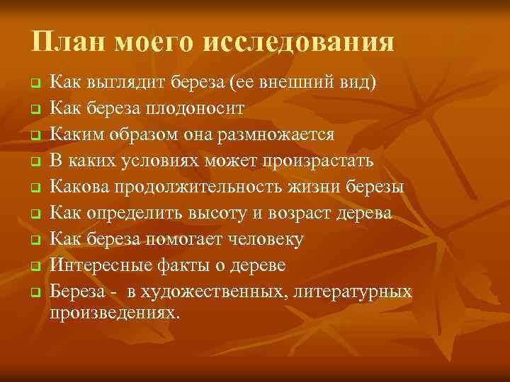 План моего исследования q q q q q Как выглядит береза (ее внешний вид)