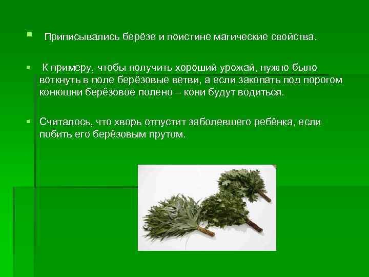 § § Приписывались берёзе и поистине магические свойства. К примеру, чтобы получить хороший урожай,