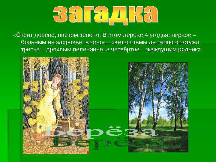  «Стоит дерево, цветом зелено. В этом дереве 4 угодья: первое – больным на