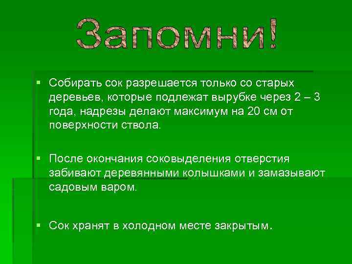 § Собирать сок разрешается только со старых деревьев, которые подлежат вырубке через 2 –