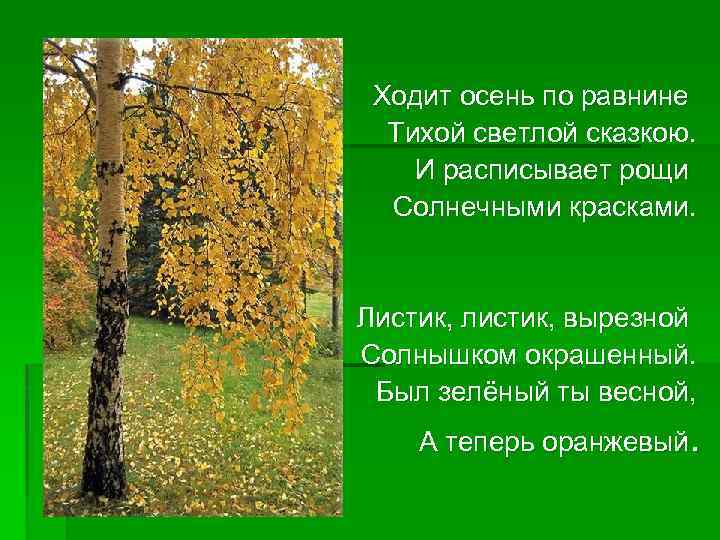Ходит осень по равнине Тихой светлой сказкою. И расписывает рощи Солнечными красками. Листик, листик,