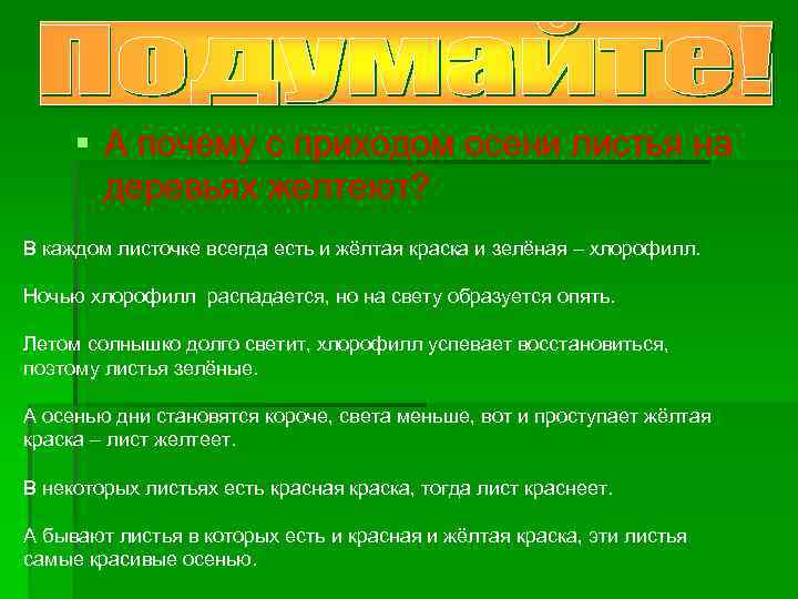 § А почему с приходом осени листья на деревьях желтеют? В каждом листочке всегда