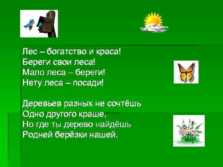 Лес – богатство и краса! Береги свои леса! Мало леса – береги! Нету леса