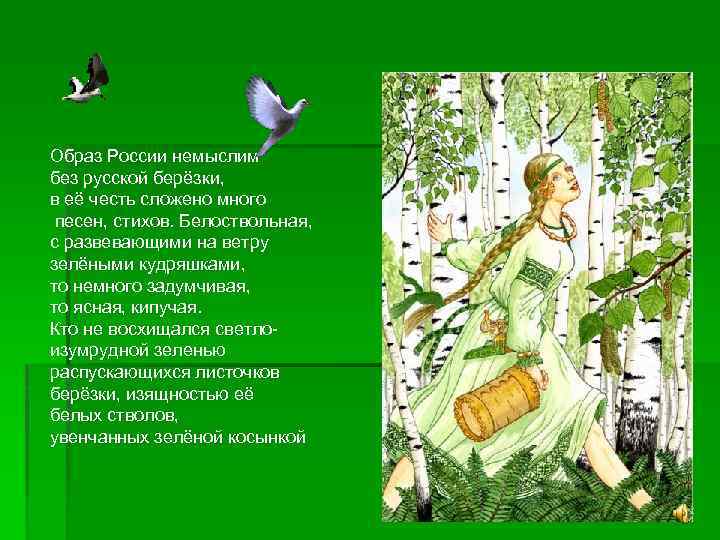Образ России немыслим без русской берёзки, в её честь сложено много песен, стихов. Белоствольная,