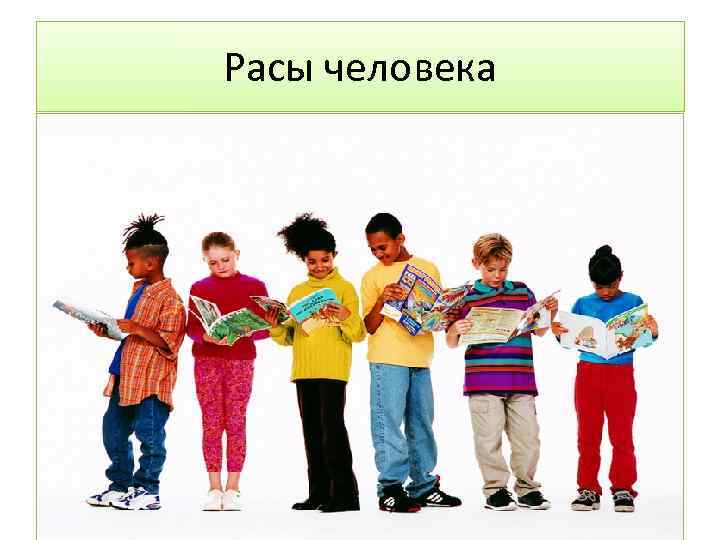 Расы человека 