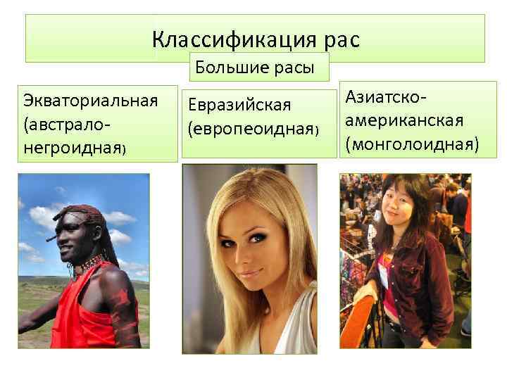 Классификация рас Большие расы Экваториальная (австралонегроидная) Евразийская (европеоидная) Азиатскоамериканская (монголоидная) 