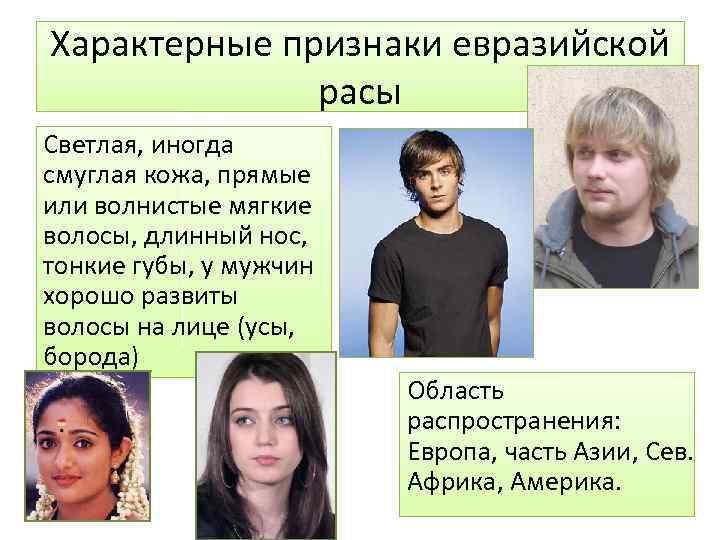 Характерные признаки евразийской расы Светлая, иногда смуглая кожа, прямые или волнистые мягкие волосы, длинный