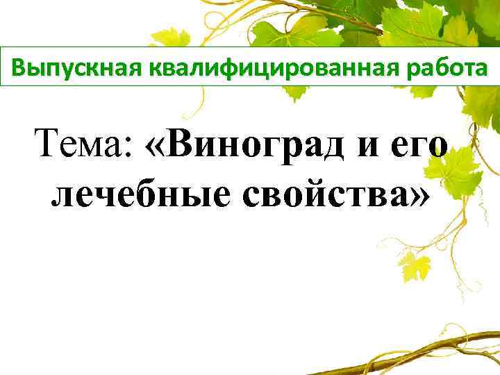 Выпускная квалифицированная работа Тема: «Виноград и его лечебные свойства» 