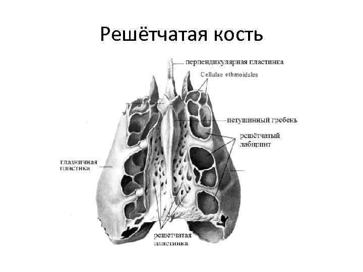  Foto 30