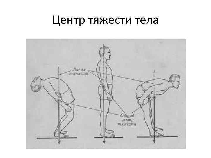 Что действует на центр тяжести. Центр масс человека биомеханика. Центр тяжести тела. Общий центр тяжести. Низкий центр тяжести у человека.