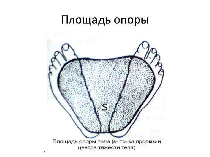 Тяжко находиться. Площадь опоры. Площадь опоры человека. Площадь опоры в анатомии. Площадь опоры стопы.