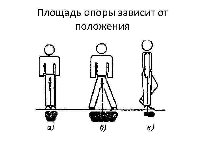 Точка равновесия и опоры в рисунке. Площадь опоры. Площадь опоры человека. Площадь опоры в анатомии. Площадь опоры биомеханика.