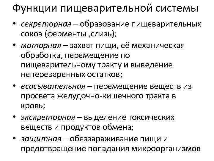 Функции пищеварительной системы • секреторная – образование пищеварительных соков (ферменты , слизь); • моторная