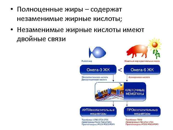  • Полноценные жиры – содержат незаменимые жирные кислоты; • Незаменимые жирные кислоты имеют