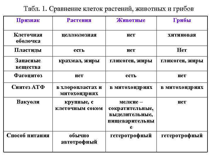 Табл. 1. Сравнение клеток растений, животных и грибов Признак Растения Животные Грибы Клеточная оболочка