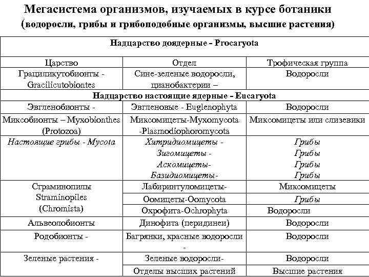 Мегасистема организмов, изучаемых в курсе ботаники (водоросли, грибы и грибоподобные организмы, высшие растения) Надцарство