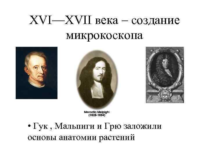 XVI—XVII века – создание микрокоскопа • Гук , Мальпиги и Грю заложили основы анатомии