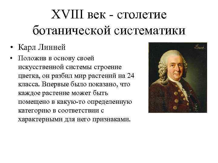 XVIII век - столетие ботанической систематики • Карл Линней • Положив в основу своей