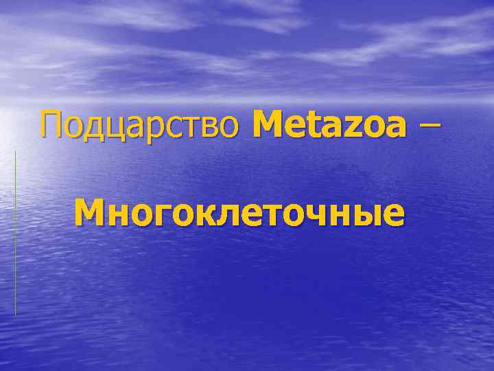 Подцарство Metazoa – Многоклеточные 