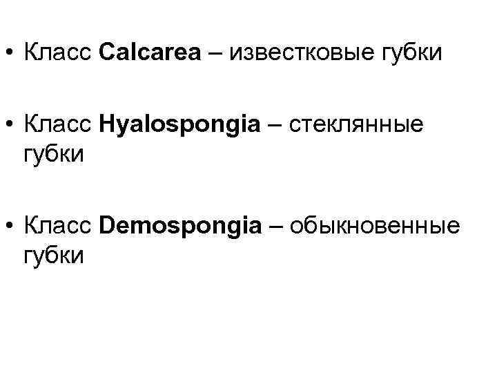  • Класс Calcarea – известковые губки • Класс Hyalospongia – стеклянные губки •