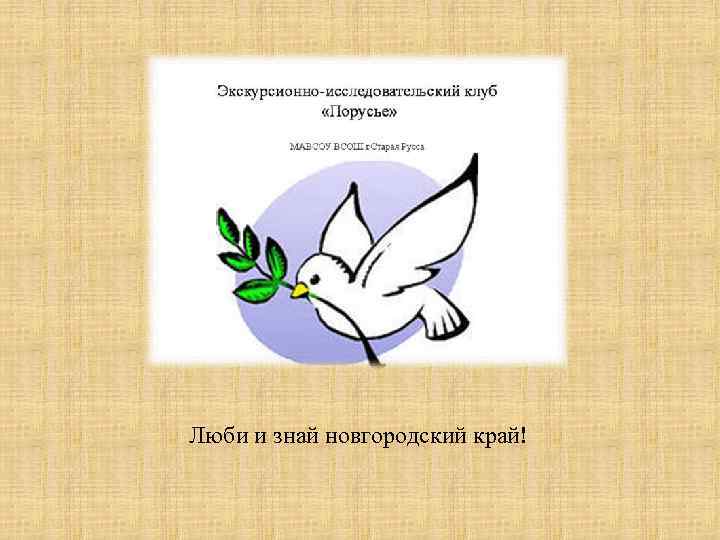 Люби и знай новгородский край! 