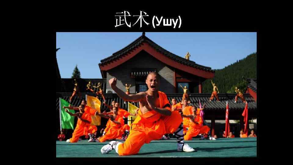 武术 (Ушу) 