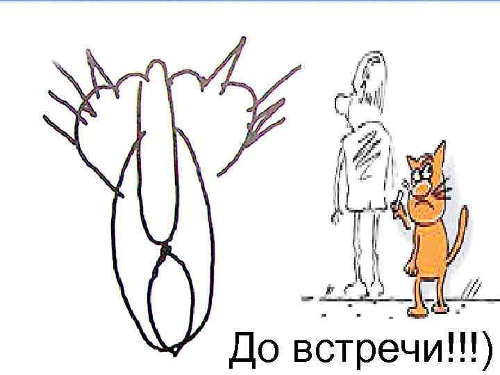 До встречи!!!) 