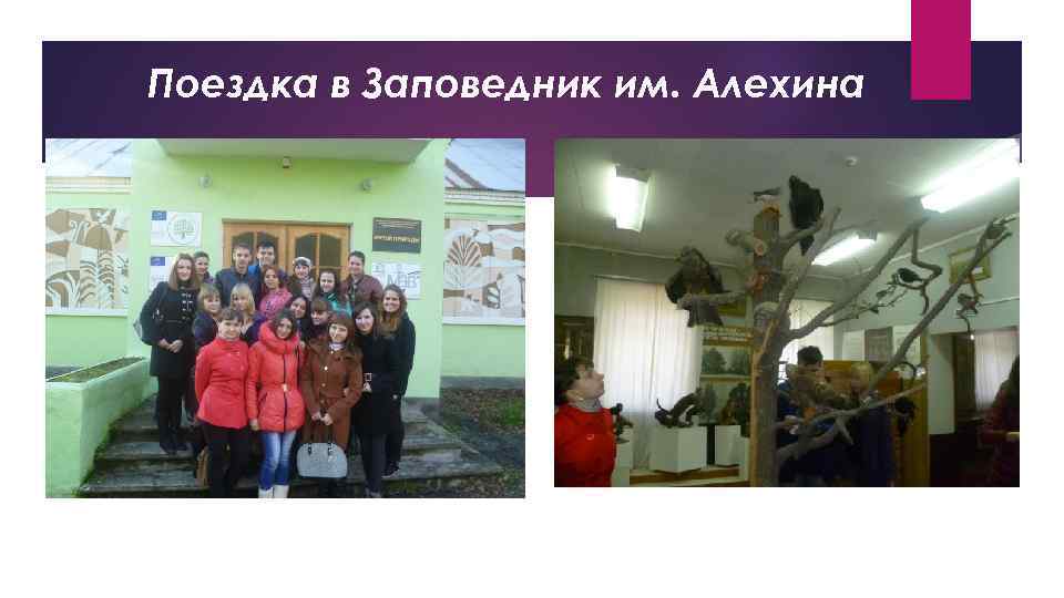 Поездка в Заповедник им. Алехина 