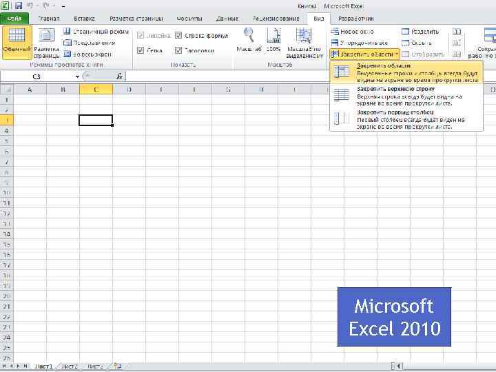 Microsoft Excel 2010 