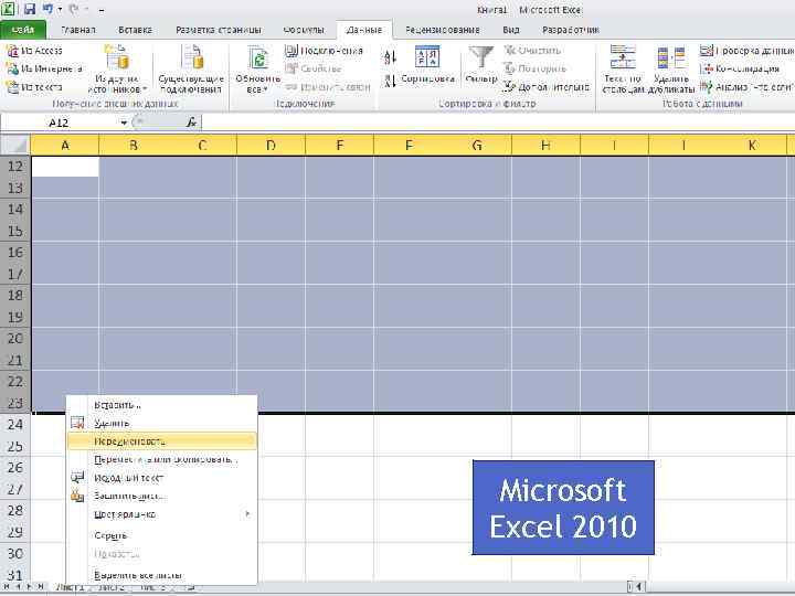 Microsoft Excel 2010 