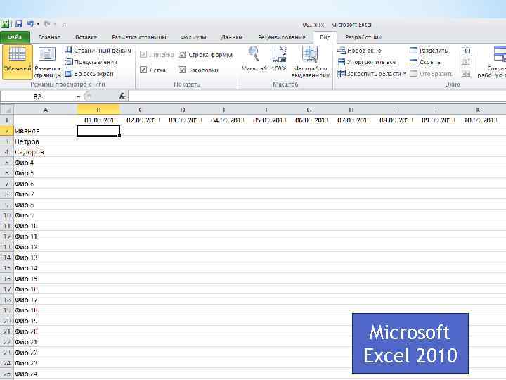 Microsoft Excel 2010 