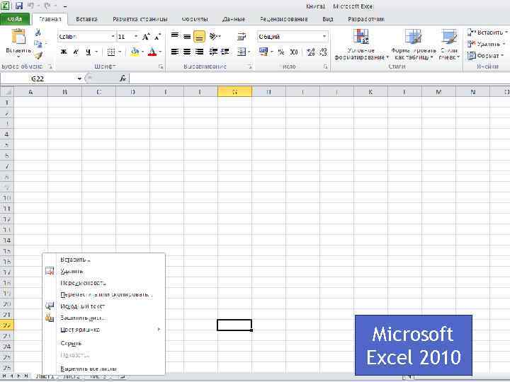 Microsoft Excel 2010 