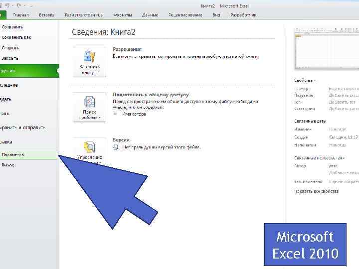 Microsoft Excel 2010 