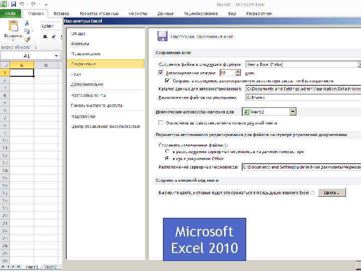 Microsoft Excel 2010 