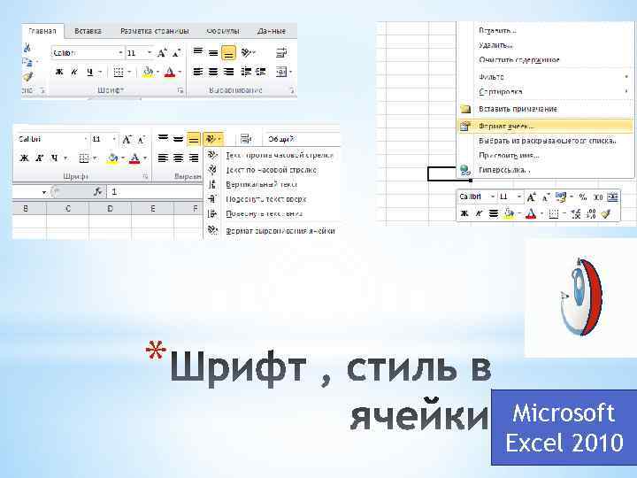 * Microsoft Excel 2010 