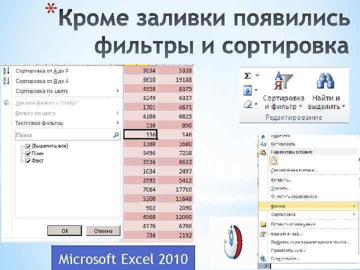 * Microsoft Excel 2010 