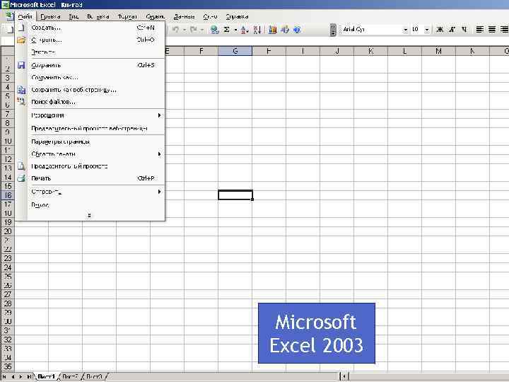 Microsoft Excel 2003 