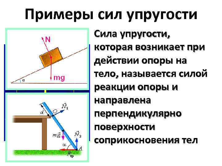 От чего зависит сила упругости физика