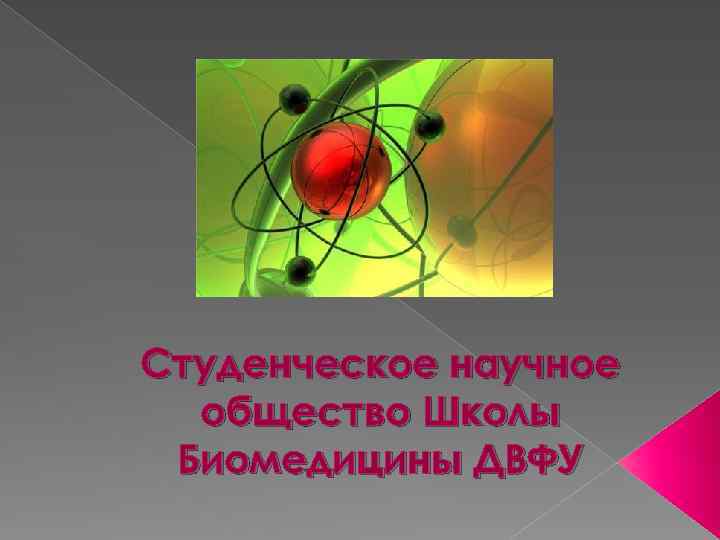 Студенческое научное общество Школы Биомедицины ДВФУ 