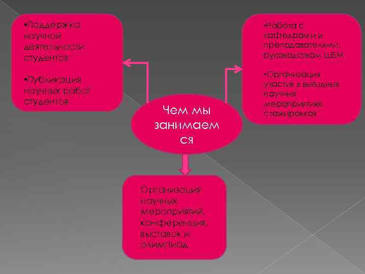  • Поддержка научной деятельности студентов • Работа с кафедрами и преподавателями, руководством ШБМ