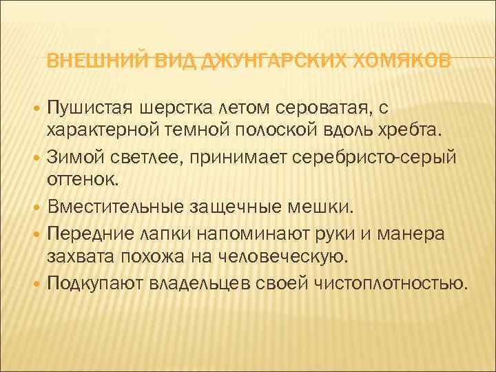 ВНЕШНИЙ ВИД ДЖУНГАРСКИХ ХОМЯКОВ Пушистая шерстка летом сероватая, с характерной темной полоской вдоль хребта.