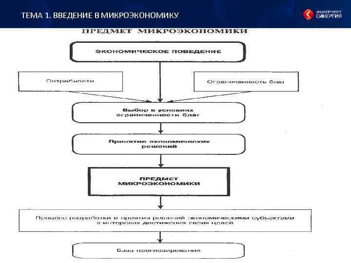 ТЕМА 1. ВВЕДЕНИЕ В МИКРОЭКОНОМИКУ 