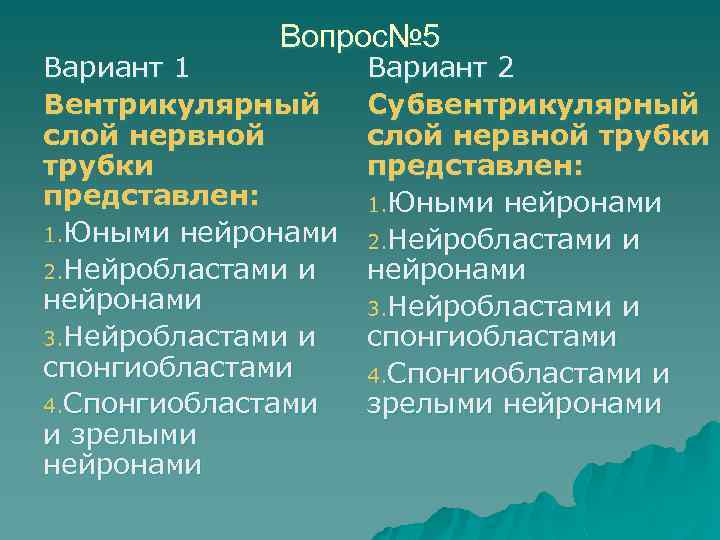 Вопрос№ 5 Вариант 1 Вентрикулярный слой нервной трубки представлен: 1. Юными нейронами 2. Нейробластами