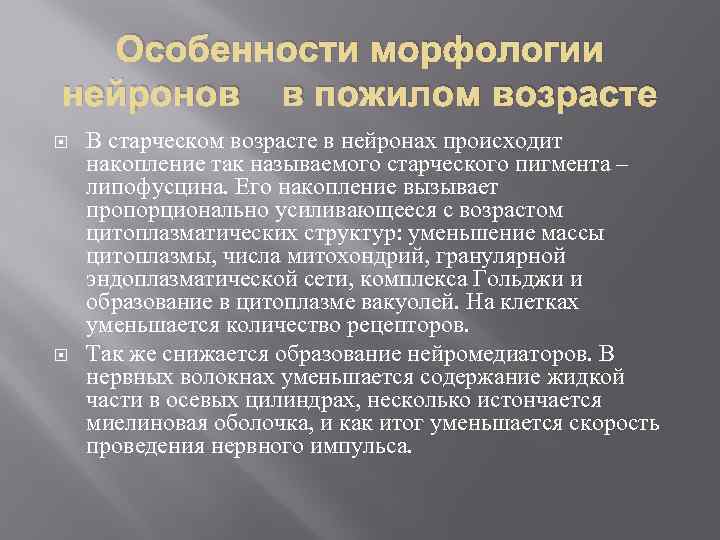 Особенности морфологии нейронов в пожилом возрасте В старческом возрасте в нейронах происходит накопление так