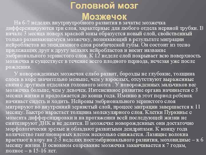 Головной мозг Мозжечок На 6 -7 неделях внутриутробного развития в зачатке мозжечка дифференцируются три