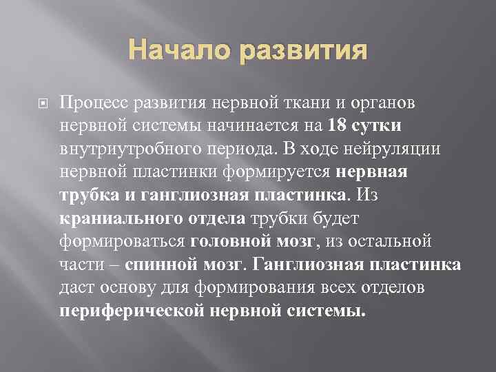 Начало развития Процесс развития нервной ткани и органов нервной системы начинается на 18 сутки