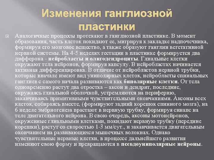 Изменения ганглиозной пластинки Аналогичные процессы протекают в ганглиозной пластинке. В момент образования, часть клеток