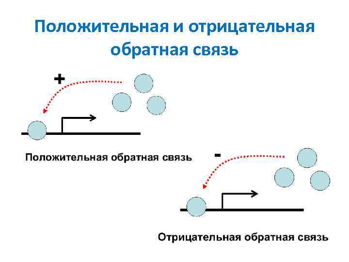 Сильная положительная связь