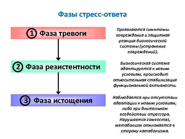 Стрессовые реакции